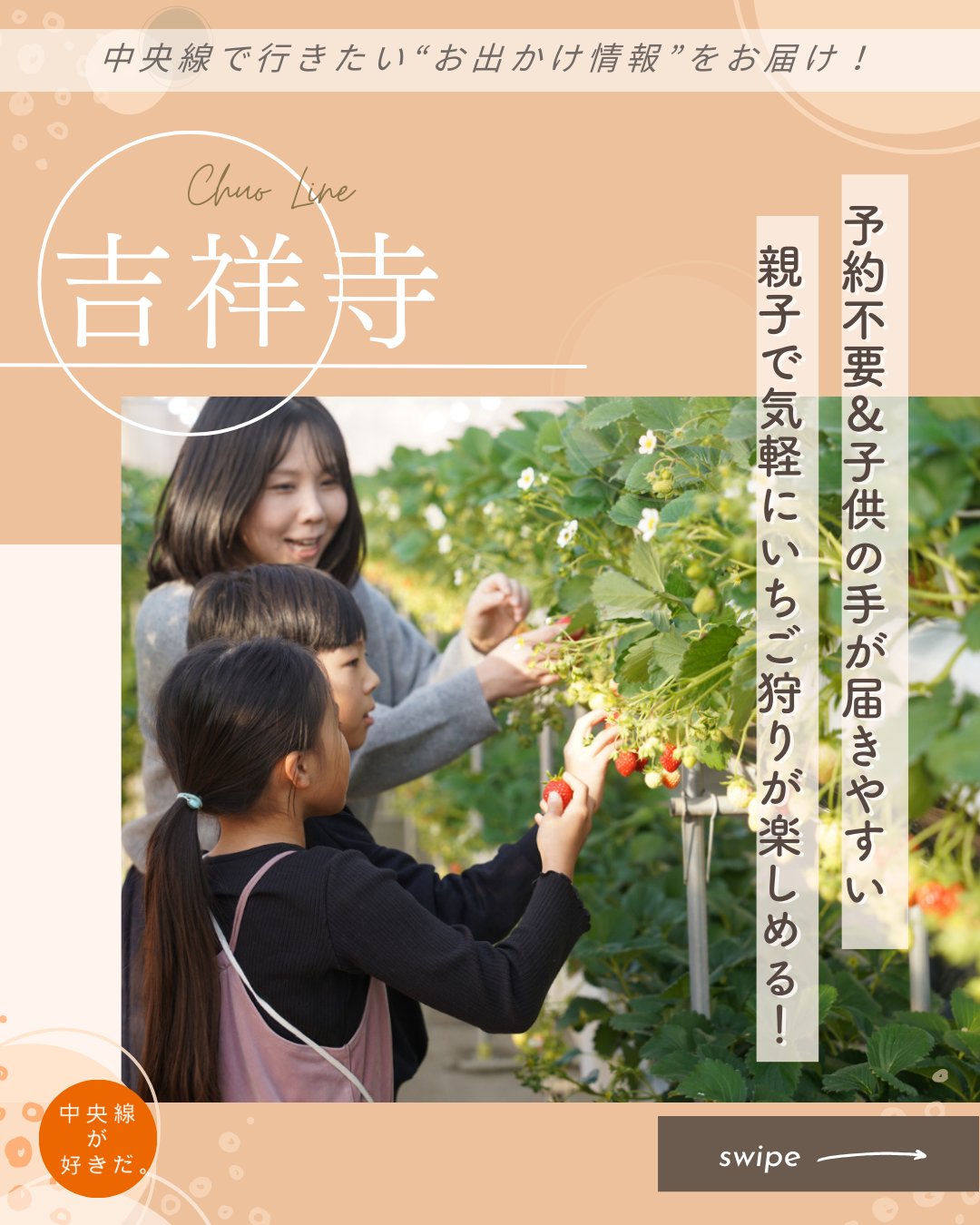 【#ウェルカムキッズ中央線】
いちごランド以志井農園( @ishii_farm ) / 📍吉祥寺駅・三鷹市
吉祥寺駅からバスを利用して約15分のアクセス良好ないちご狩り農園。こだわりが詰まったおいしいいちごが食べられると評判で、観光客だけでなく地元の人にも愛されている。
高設2段栽培なので小さい子でもいちごに手が届く。11種類以上のいちごを栽培しており、一番人気の「ロマンベリー」をはじめ、希少な「アクアクイーン」や「おお香」など、珍しいいちごがたくさんある。農園の一角には、選抜中のオリジナル品種もあり、未来の人気品種を求めて、宝探しのつもりで食べてみるとおもしろい。
予約不要で、時間制限食べ放題と摘み取り量り売りが選べる。ただし、営業日時はいちごの生育状況によって変わるので、来園前に公式SNSを要チェック。
*-*-*-*-*-*-*-*-*-*-*-*-*-*-*-*-*-*-*-*-*-*-*-*-*-*
〇JR中央線吉祥寺駅南口から小田急バス「千歳烏山駅北口」行きで約13分の天神前または南牟礼下車、徒歩約3分
〇開園時期は12月上旬〜6月上旬、開園予定日は水・土・日(いちごの生育状況により営業時間や休園日が変わるため、事前に公式SNSをご確認ください)
〇東京都三鷹市北野2-6-52
*-*-*-*-*-*-*-*-*-*-*-*-*-*-*-*-*-*-*-*-*-*-*-*-*-*
記事の詳細は @chuosuki のプロフィール欄のURLから、中央線が好きだ。WEBサイトをご覧ください。
あなたが好きな中央線沿線のスポット・お店などがあれば、ぜひ #中央線が好きだ を付けて投稿してください♪
#中央線が好きだ #中央線 #ウェルカムキッズ中央線 #吉祥寺 #三鷹市 #東京都 #子供と遊ぶ #子供の遊び場 #いちごランド以志井農園 #いちご狩り #いちご食べ放題 #いちご摘み取り体験 #ロマンベリー #親子で楽しむ #家族とお出かけ #子供とお出かけスポット