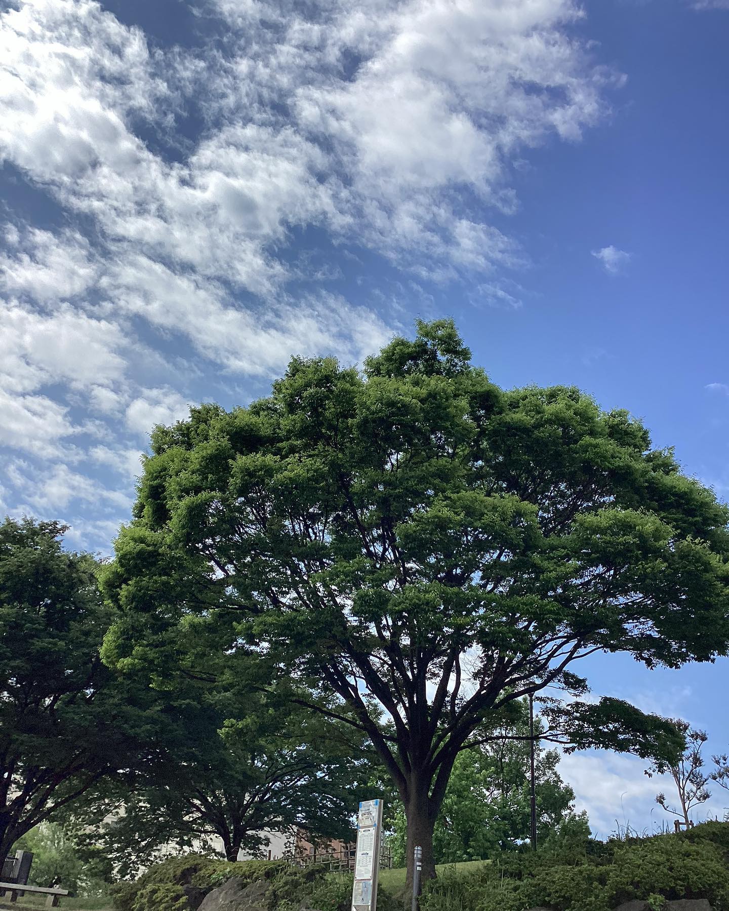 🌳GOOD EVENING🌳
皆様こんにちは🤗
今週も始まりました♪
晴れの日が多い今年の梅雨☔️でも、ちょっとジメジメしていたり、気温差に身体がついていかない😂なんてことありますよね。
6月もあと少し…夏はもう直ぐです😉
暑い夏に備えて、心と身体整えましょう✨
ヨガして心も身体も健やかに🧘✨
明日のプログラム空きあります
🧘 9:30〜ペルビックヨガ
(お子様同伴可)
女性ならではの体の不調や、腰痛、
反り腰も改善されます。もちろん、
男性も大歓迎!腹筋にも効果的✨
🧘 11:30〜 ベーシックヨガ
身体をじわじわ伸ばしたあと、
ゆったりと行います。ヨガの基本
的なポーズを中心に、呼吸を大切
にしながら行います。ヨガ初めて
ちょっと体動かしたいなぁって方
向けです😉じんわりいい汗かきま
しょう✨
詳細&ご予約はこちらから↓
https://tarp-pro.jp/user/outdoorfitness-edogawa
ご来館の方お気をつけてお越しください
元気に笑顔でお待ちしています🤗
南葛西 富士公園でのヨガ・アウトドアフィットネス情報を随時更新!
@outdoorfitness.edogawa
詳細&プログラムの予約 月4回お得に受講できるマンスリー会員情報などは
@outdoorfitness.edogawa
プロフィールよりリンクをタップ!
フォローもお忘れなく🤗
@outdoorfitness.edogawa
開催場所:富士公園サービスセンター2F
@edogawa_recreation
#yoga#ヨガ#パークヨガ#parkyoga #nordicwalk#ノルディックウォーキング#富士公園#outdoorfitness #outdoor fitnessallover yourtown#アウトドアフィットネス#自然の中で健康になる#南葛西#葛西
puroduced by @beach town.co.Jo
よろしくお願いします🤗