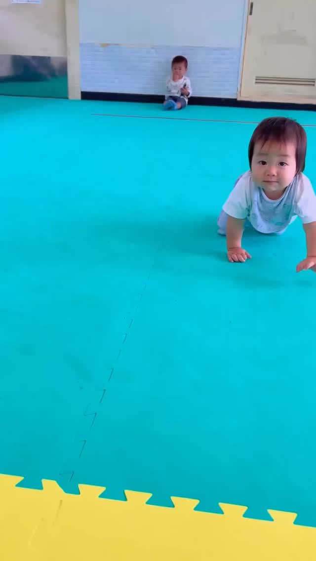 10/6のなかよしひろばは、ハイハイレースでした👶🏻
今回もたくさんのお友だちが参加してくれました♪
パパも一緒に参加してくれましたよ👨🏻
#八幡児童館 #灘区 #児童館 #子育て #神戸市