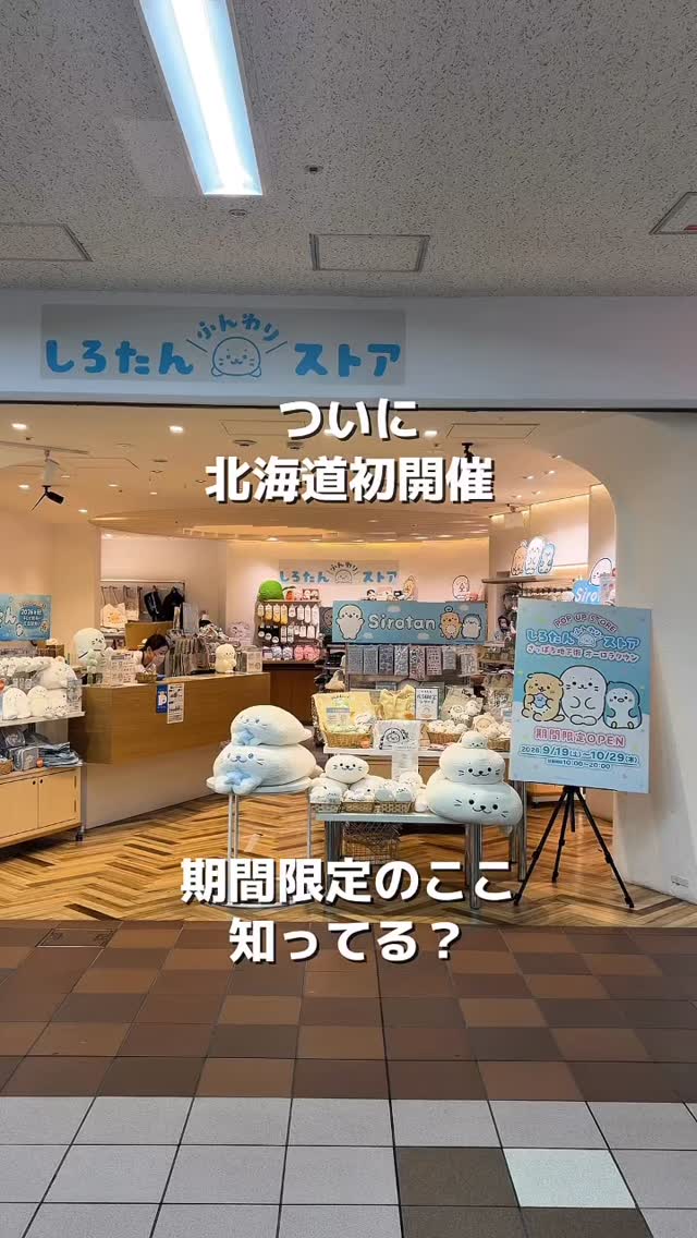 さっぽろ地下街
オーロラタウンに
しろたんふんわりストアがオープン✨
北海道初開催のPOPUP SHOPです!
@sirotan_fun
しろたんは、たてごとあざらしという
アザラシのキャラクター🦭
まっしろでふわふわな姿がとっても癒される・・・
ぬいぐるみ・雑貨・アパレルなど豊富な商品に加えて
北海道の店舗限定商品や
なくなり次第終了のご購入特典も!
10月29日(木)までの期間限定店舗ですので
ぜひこの機会にお越しください!
======================
📍しろたんふんわりストア
さっぽろ地下街オーロラタウン
🗓️2026.9.18(金)〜10.29(木)
📞080-8038-7130
#しろたん #しろたんふんわりストア