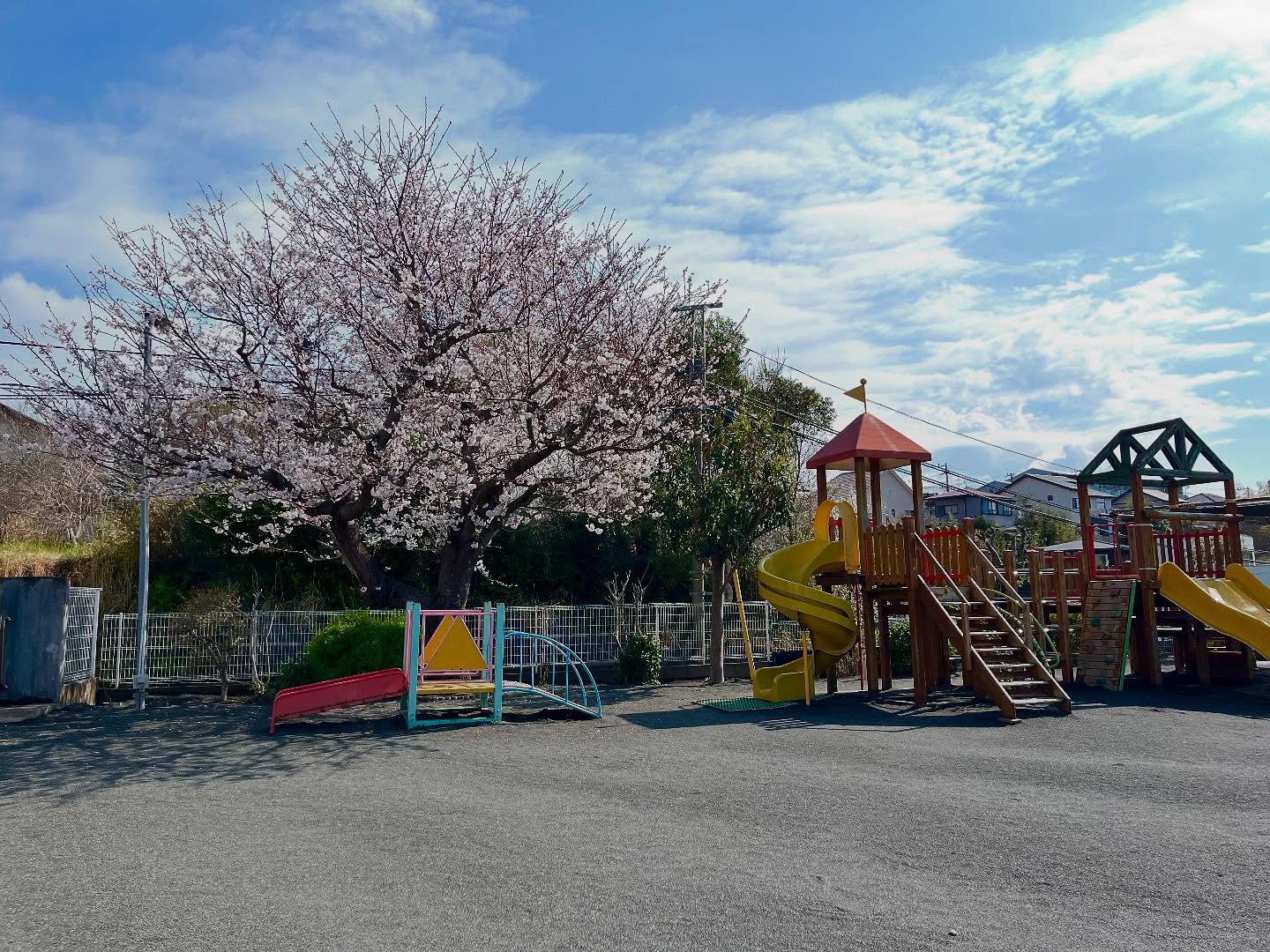 🌸2025年度🌸
いよいよ明日『入園式・進級式』を迎え、新年度がスタートします!
園庭の桜やチューリップなど🌷たくさんの花々がみんなの笑顔を待っていますよ!
今年度も1年よろしくお願い致します😊
#あしたか幼稚園#幼稚園#保育園#認定こども園#子育て支援#幼稚園探し#沼津市#あしたか#幼稚園教諭#保育士#園児募集#2歳児クラス#満3歳児クラス#預かり保育#幼稚園は満3歳児から無償#年少#年中#年長#2歳#3歳#4歳#5歳#プレ幼稚園