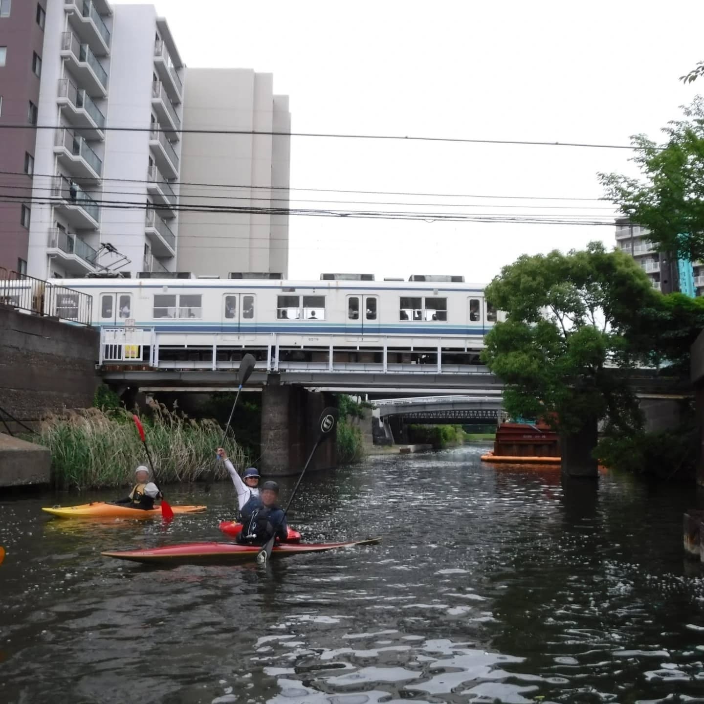 協会としては久しぶりのスカイツリーツアー。大島小松川公園を出て旧中川 - 横十間川を経由してスカイツリーに行き、帰りは小名木川を経由して小松川公園へ帰還。合計10kmのツアーでした。都会を川から眺めるのも新鮮ですね。