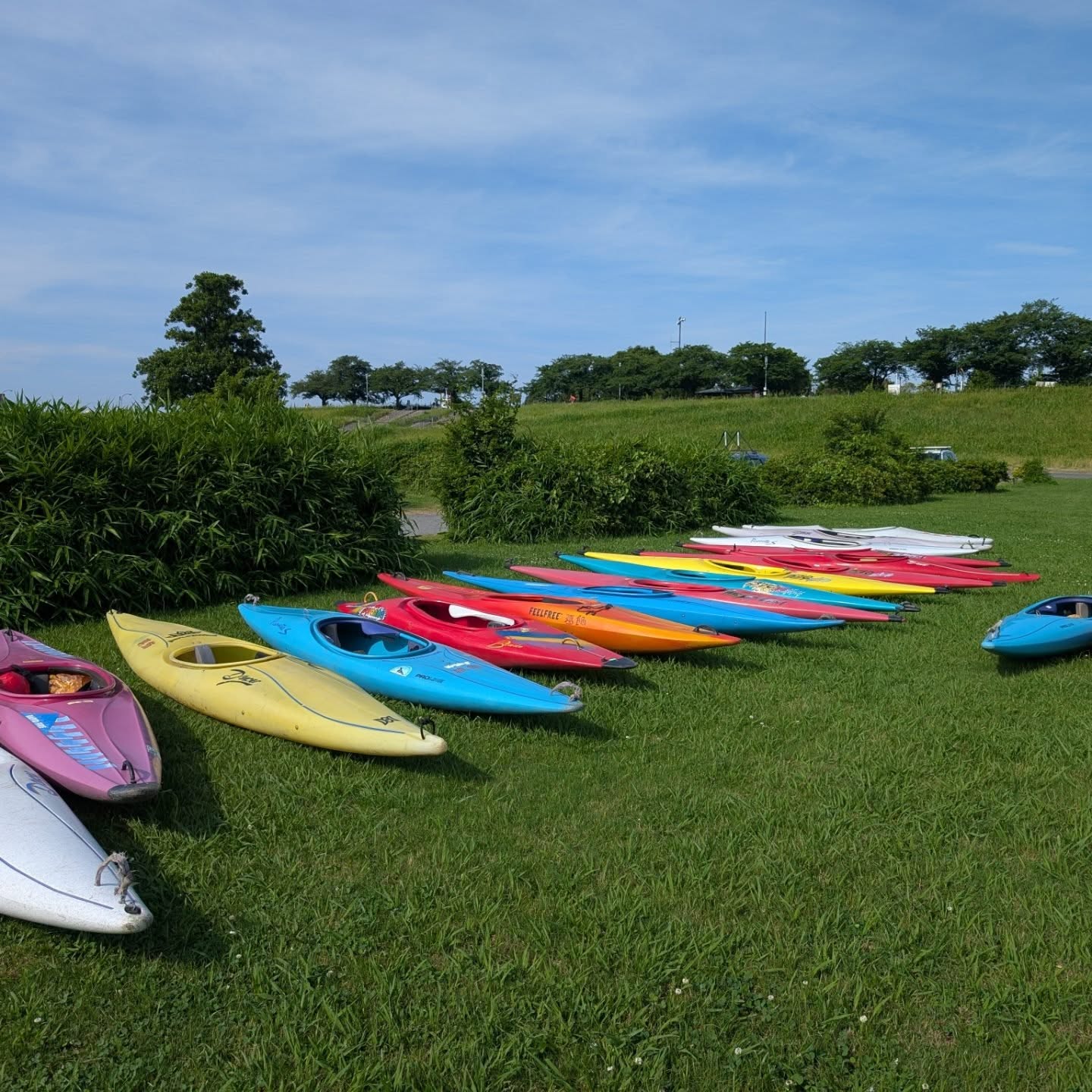 6/28, 29と2日間にわたり、毎年恒例の葛飾区カヌー体験が行われ、計50名の皆さんにカヌーやSUPを楽しんでもらいました。協会への入会をお待ちしています。また来年もよろしくお願いします。