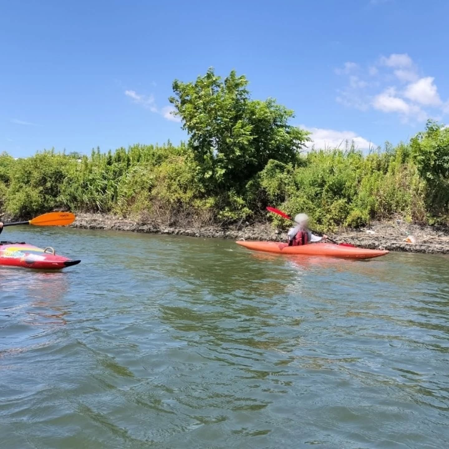梅雨明けした夏の青空の下、江戸川(柴又付近)でカヌー講習を開催しました。講習に合わせて会員も練習しています。水が冷たくて気持ちいいですよ。