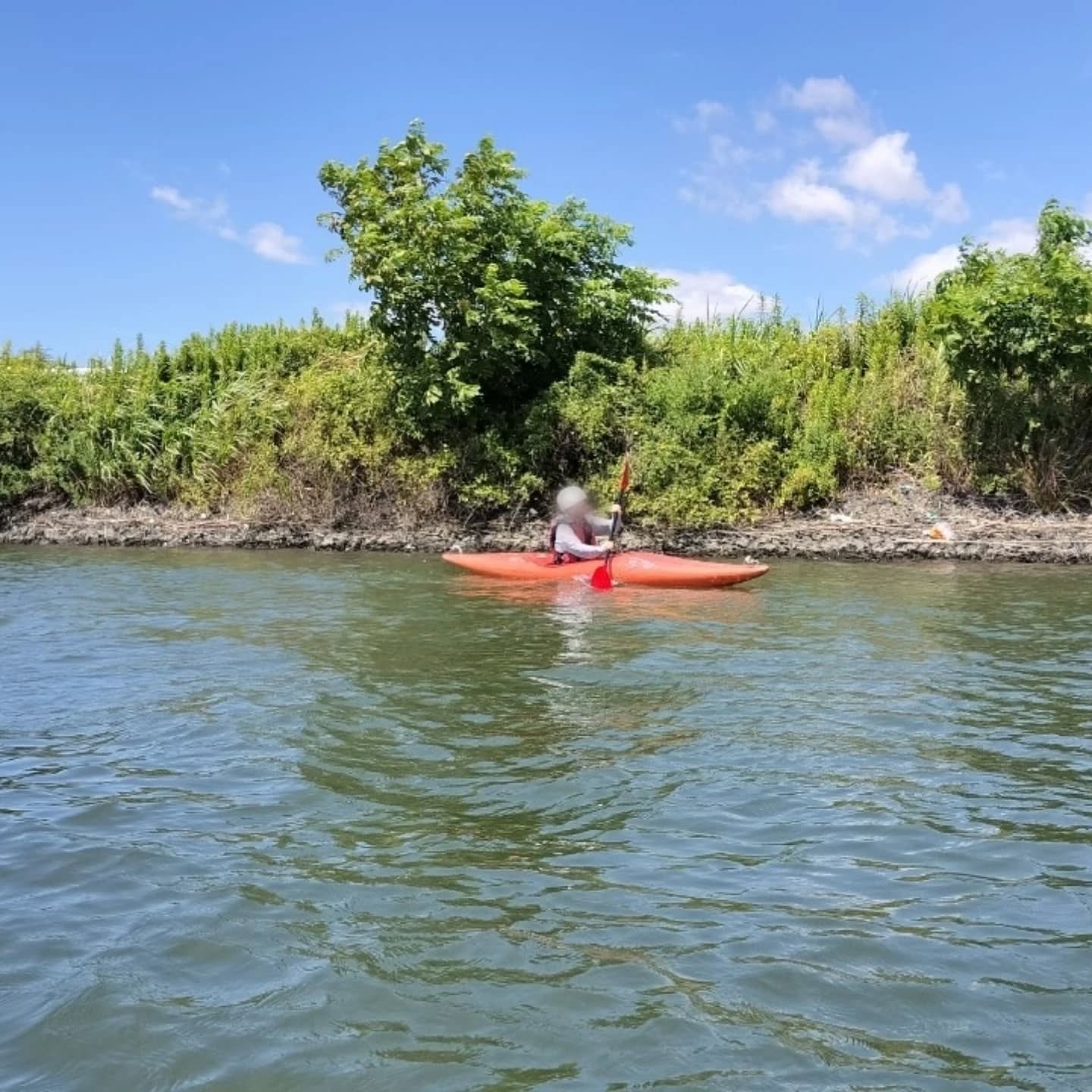 梅雨明けした夏の青空の下、江戸川(柴又付近)でカヌー講習を開催しました。講習に合わせて会員も練習しています。水が冷たくて気持ちいいですよ。