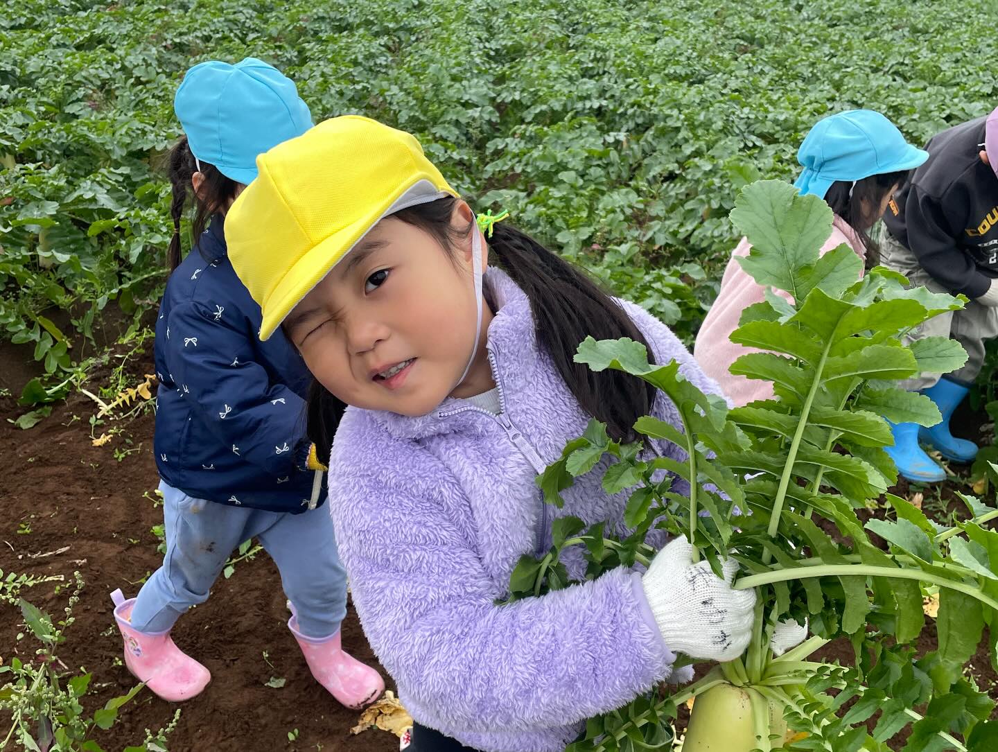 毎年お世話になっている農家さんに
今年も大根の収穫体験をさせて頂きました(^○^)
自分の背丈くらいある大根を
力一杯抜いていました!!!
美味しくいただきました(^^)
#収穫体験#大根掘り#かっぱ大根#保育園#peek-A-boo