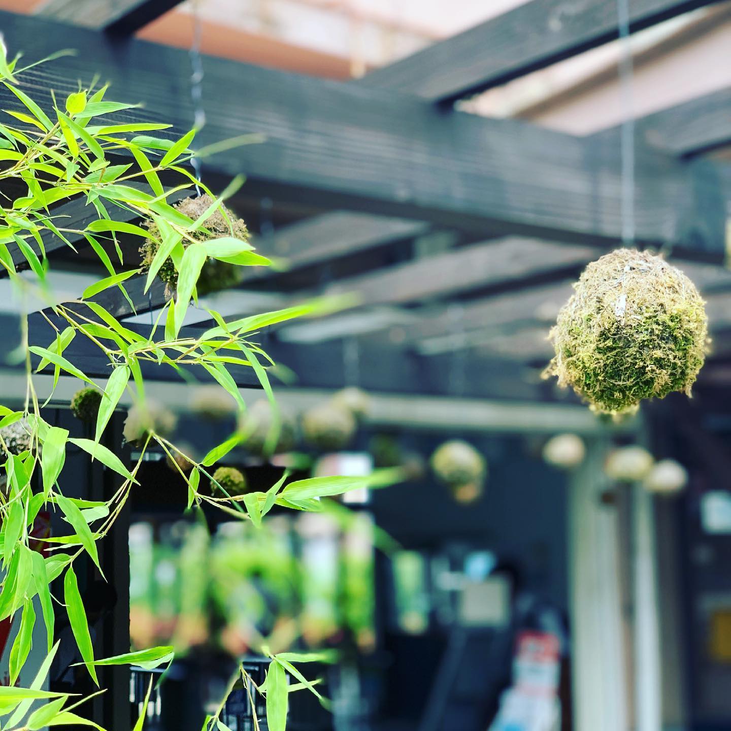 なかなか風情ある駅でした。