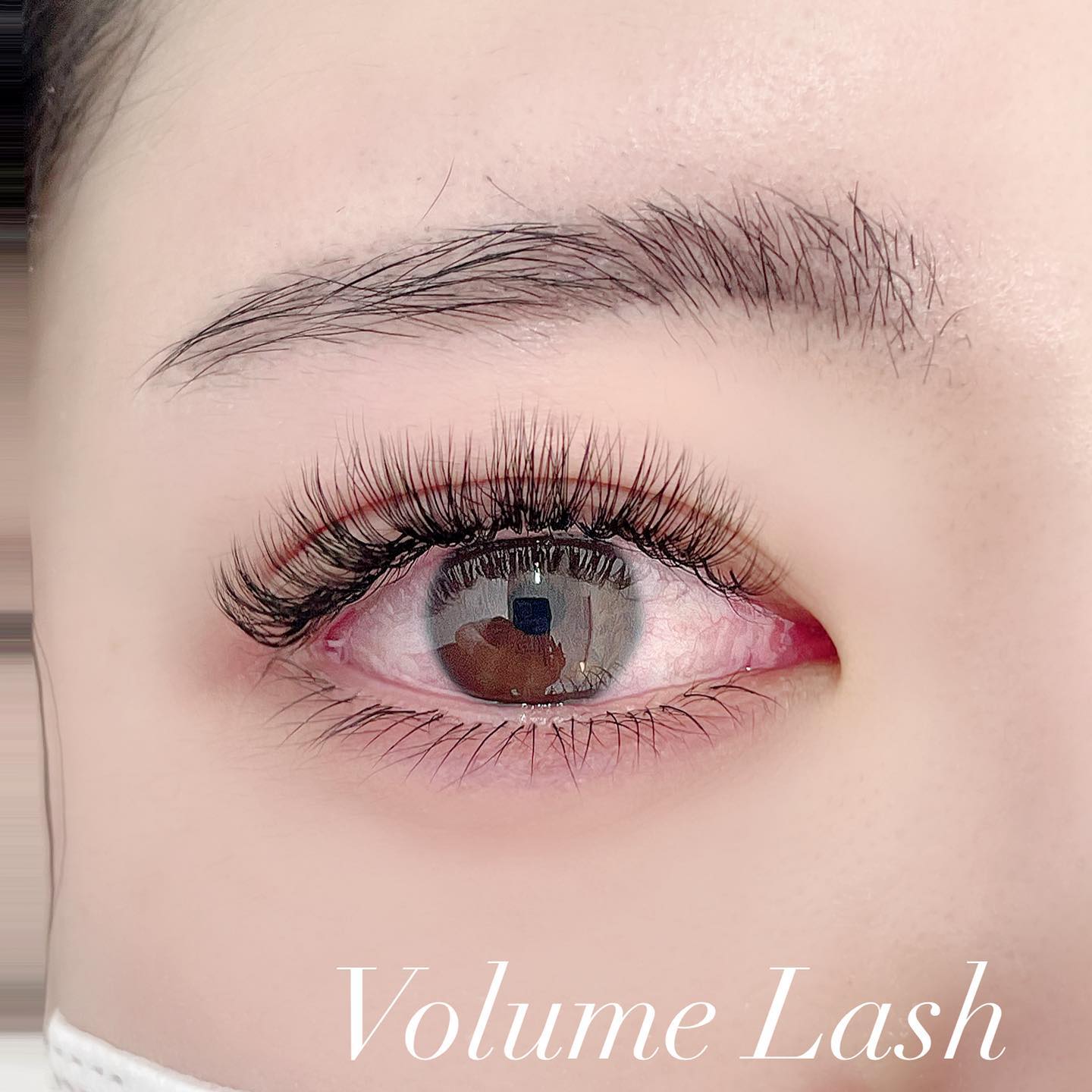 の口コミや評判が分かる!