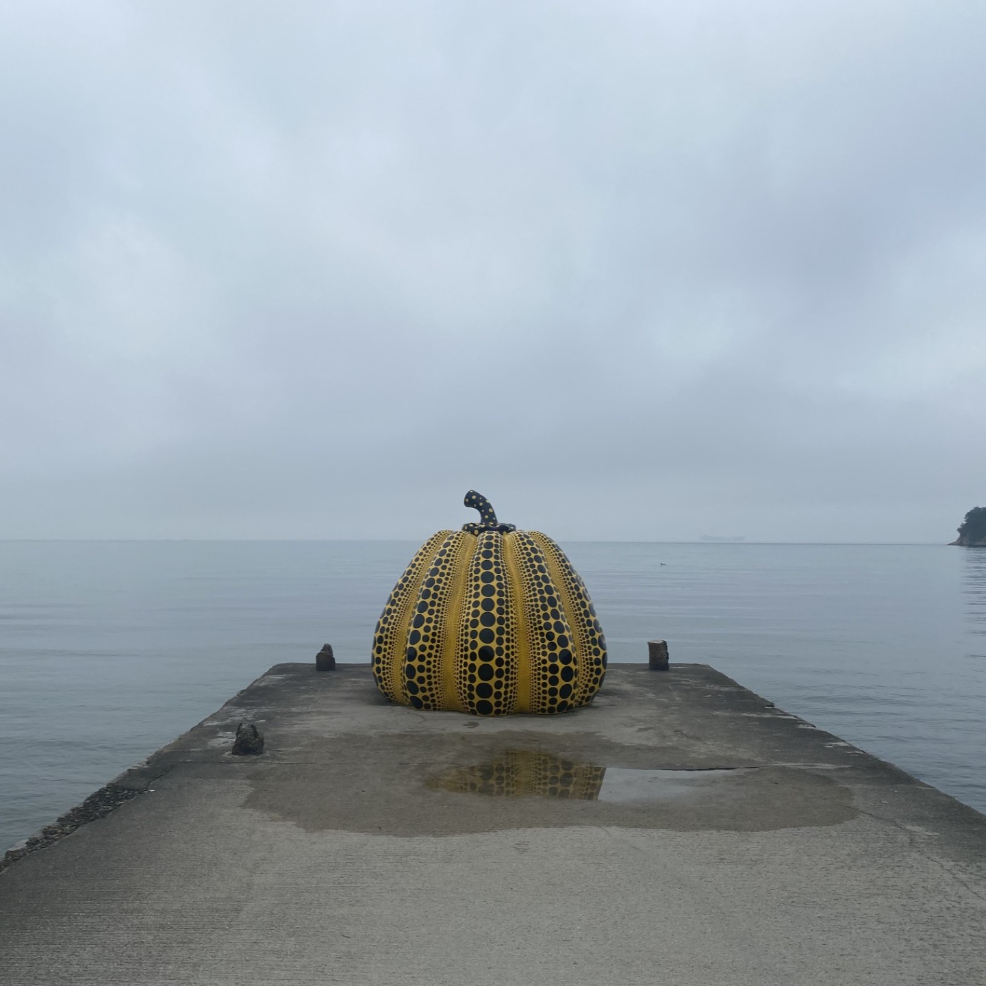 In the mornings on Naoshima, which is in the rainy season, the difference between the sea water temperature and the air temperature makes it easy for fog to form. Although the ferry may be nervous about moving, you can enjoy a fantastic view of the blurred border between the horizon and the clouds.
梅雨入りしている直島の朝は、海水温と空気温の差で霧が発生しやすくなります。フェリーが動くかドキドキしますが、水平線と雲の境目が曖昧になる幻想的な風景をみることが出来ます。
#benessehouse
#benessehouseonlineshop
#naoshima
#朝の散歩がおすすめです
