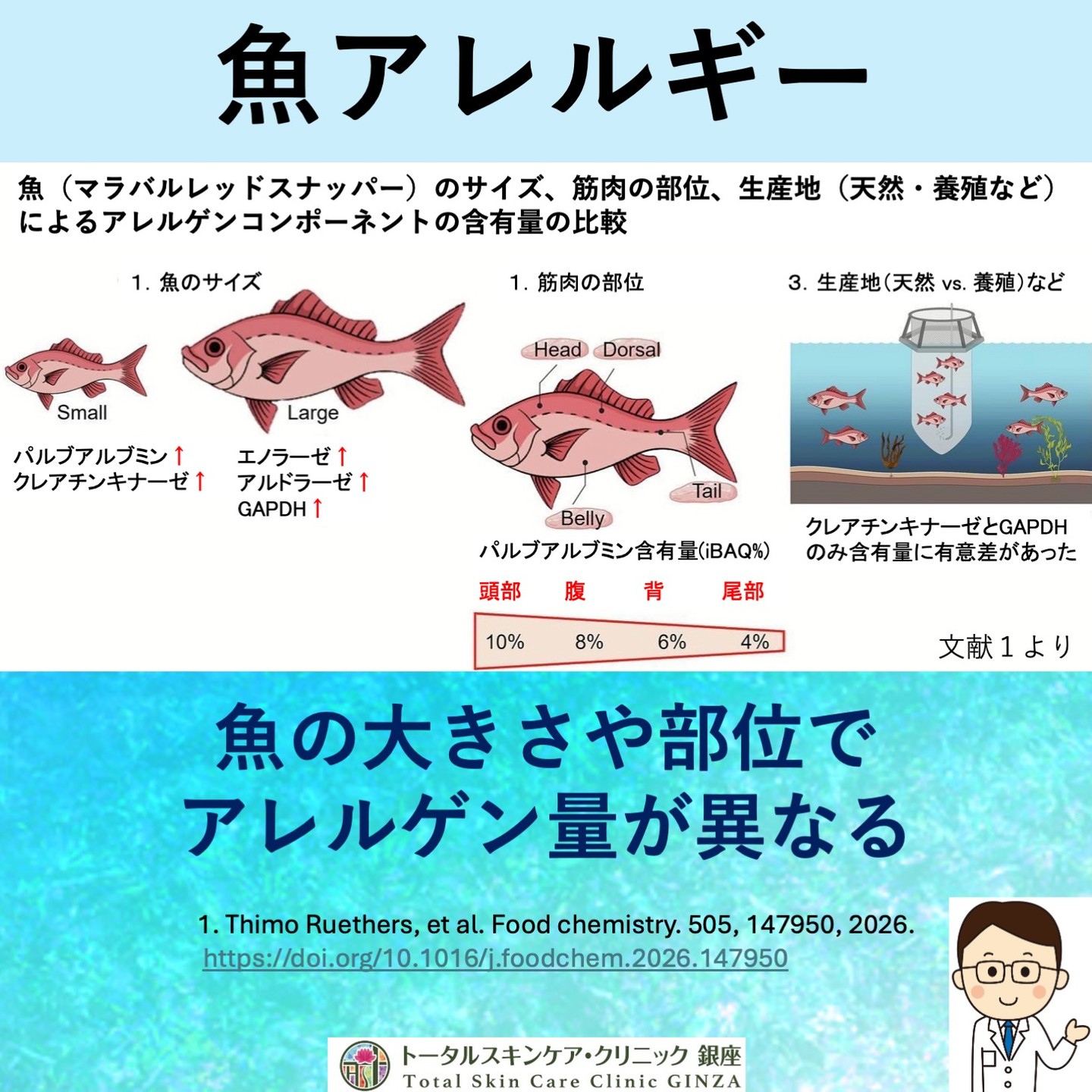 トータルスキンケアクリニック銀座
蕁麻疹やアナフィラキシーを発症する原因の一つに魚があります。
魚アレルギー患者のメジャー抗原コンポーネントであるパルブアルブミン(Parvalbumin)やクレアチンキナーゼ(Creatine kinase)、マイナー抗原コンポーネントであるGAPDHなどは魚の筋肉に含まれます。
この論文ではサイズの異なるマラバルレッドスナッパーの抗原コンポーネントを魚の大きさや筋肉の存在する部位によって比較しています。
結果、魚のサイズが小さいほどパルブアルブミンやクレアチンキナーゼのアレルゲンコンポーネント含有量が有意に多く、頭部、腹、背、尾の順にパルブアルブミン含有量が多かったと報告しています。
なお生産地(天然か養殖かなど)の差では11種類のアレルゲンコンポーネントのうちクレアチニンキナーゼとGAPDHの2つのみで有意差がでたとの結果でした。
魚アレルギーのある方では、魚のサイズと食べる部位なども考慮するとアレルギー発症のリスクが減るのではと提言しています。
参考文献) Thimo Ruethers, et al. Food chemistry. 505, 147950, 2026.
https://doi.org/10.1016/j.foodchem.2026.147950
院長
#トータルスキンケアクリニック銀座 #東銀座皮ふ科 #東銀座 #築地 #新富町 #聖路加 #聖路加国際病院 #皮膚科 #クリニック #魚アレルギー #魚のサイズ #魚の部位 #アナフィラキシー #蕁麻疹