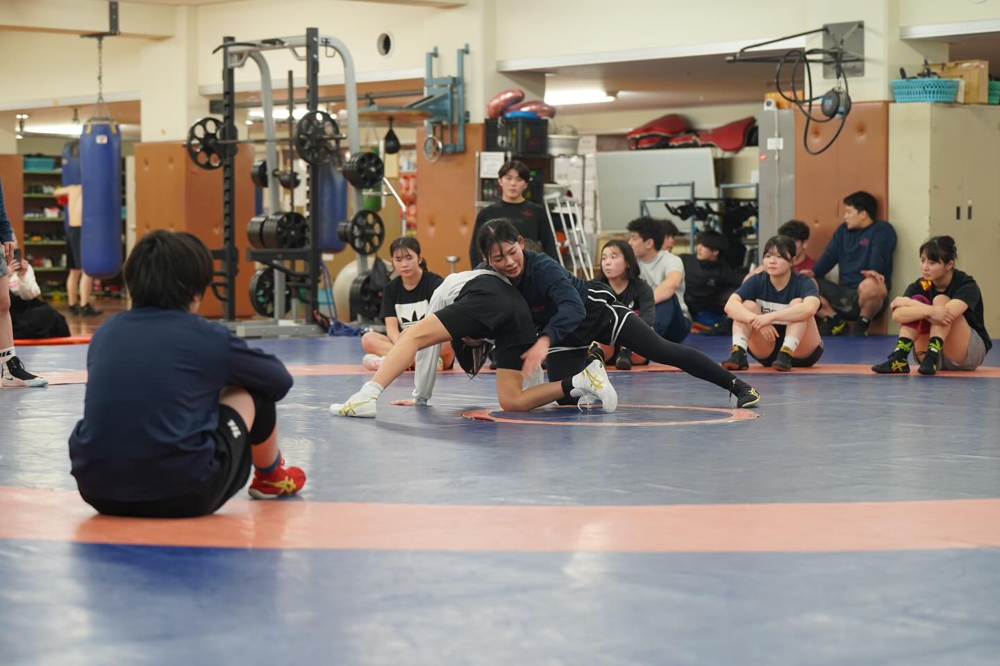 《早稲田女子合宿》
2/21~2/23の3日間、早稲田大学にて女子学生を対象とした合宿を行いました❗️
OBOGの方々にもご協力いただき、実りある会となりました。
ありがとうございます🌸
●2月21日(合宿1日目)
OB OGコーチスタッフ
梅林太朗、吉村拓海、伊藤海
●2月22日(合宿2日目)
OB OGコーチスタッフ
梅林太朗、片岡梨乃、加藤和弥、伊藤海
●2月23日(合宿3日目)
OB OGコーチスタッフ
梅林太朗、片岡梨乃、加藤和弥
※敬称略で失礼致します。
複数の合宿の日程が重なり、学年末テスト前で参加を断念する選手が多い中で、例年に比べ少ない参加人数でしたが活気ある有意義な合宿となりました🌟
ご参加いただきありがとうございました!
#waseda #wrestling #japanwrestling #wasedawrestling