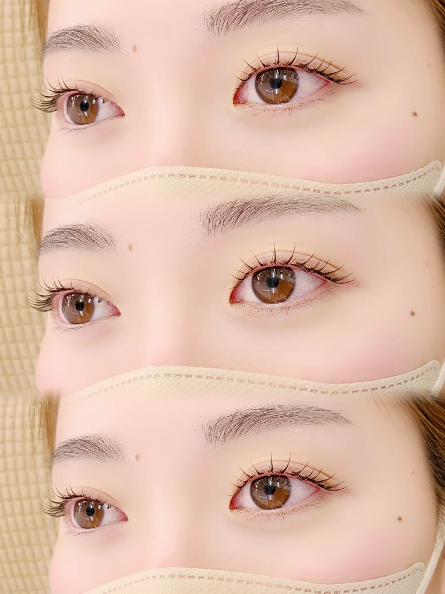 の口コミや評判が分かる!