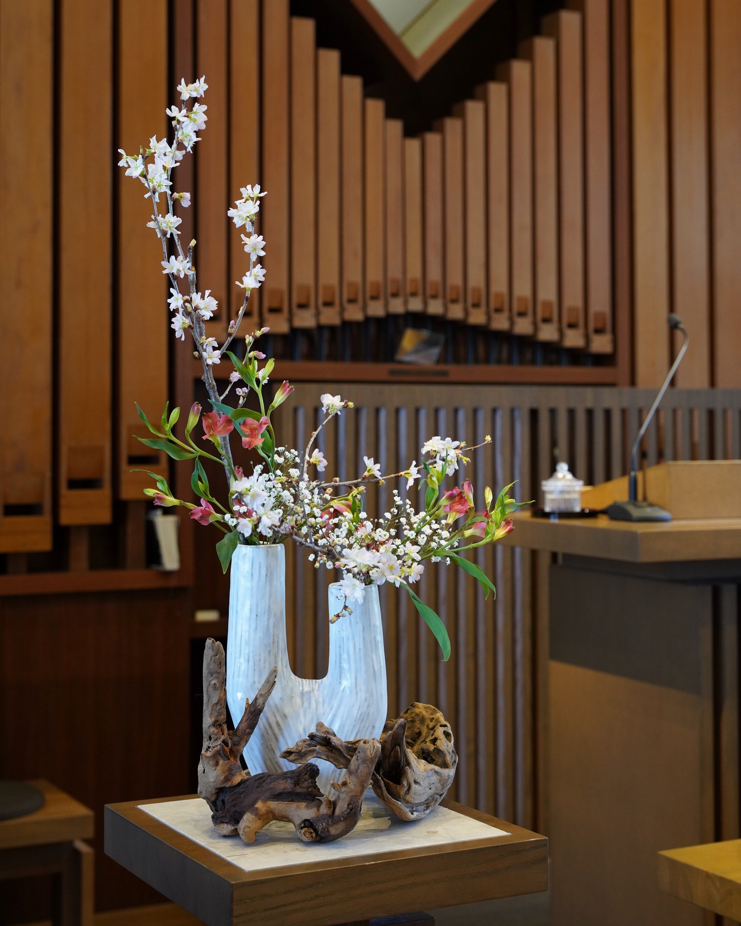 今日のお花 今日のことば 20260308
今日の礼拝では、聖書全巻通読シリーズの第63、64巻目、ヨハネの手紙第二と第三が紐解かれました。
【新約聖書・ヨハネの手紙第二7~11】
こう命じるのは、人を惑わす者たち、イエス・キリストが人となって来られたことを告白しない者たちが、大勢世に出て来たからです。こういう者は惑わす者であり、反キリストです。
気をつけて、私たちが労して得たものを失わないように、むしろ豊かな報いを受けられるようにしなさい。
だれでも、「先を行って」キリストの教えにとどまらない者は、神を持っていません。その教えにとどまる者こそ、御父も御子も持っています。
あなたがたのところに来る人で、この教えを携えていない者は、家に受け入れてはいけません。あいさつのことばをかけてもいけません。
そういう人にあいさつすれば、その悪い行いをともにすることになります。
【新約聖書・ヨハネの手紙第三1:8】
長老から、愛するガイオへ。私はあなたを本当に愛しています。
愛する者よ。あなたのたましいが幸いを得ているように、あなたがすべての点で幸いを得、また健康であるように祈ります。
兄弟たちがやって来ては、あなたが真理に歩んでいることを証ししてくれるので、私は大いに喜んでいます。実際、あなたは真理のうちに歩んでいます。
私にとって、自分の子どもたちが真理のうちに歩んでいることを聞くこと以上の大きな喜びはありません。
愛する者よ。あなたは、兄弟たちのための、それもよそから来た人たちのための働きを忠実に行っています。
彼らは教会の集まりで、あなたの愛について証ししました。あなたが彼らを、神にふさわしい仕方で送り出してくれるなら、それは立派な行いです。
彼らは御名のために、異邦人からは何も受けずに出て行ったのです。
私たちはこのような人々を受け入れるべきです。そうすれば、私たちは真理のために働く同労者となれます。
みなさんもぜひ教会にお越しください。
ご来会を心より歓迎します!
#荻窪栄光教会 #今日のお花 #今日のことば