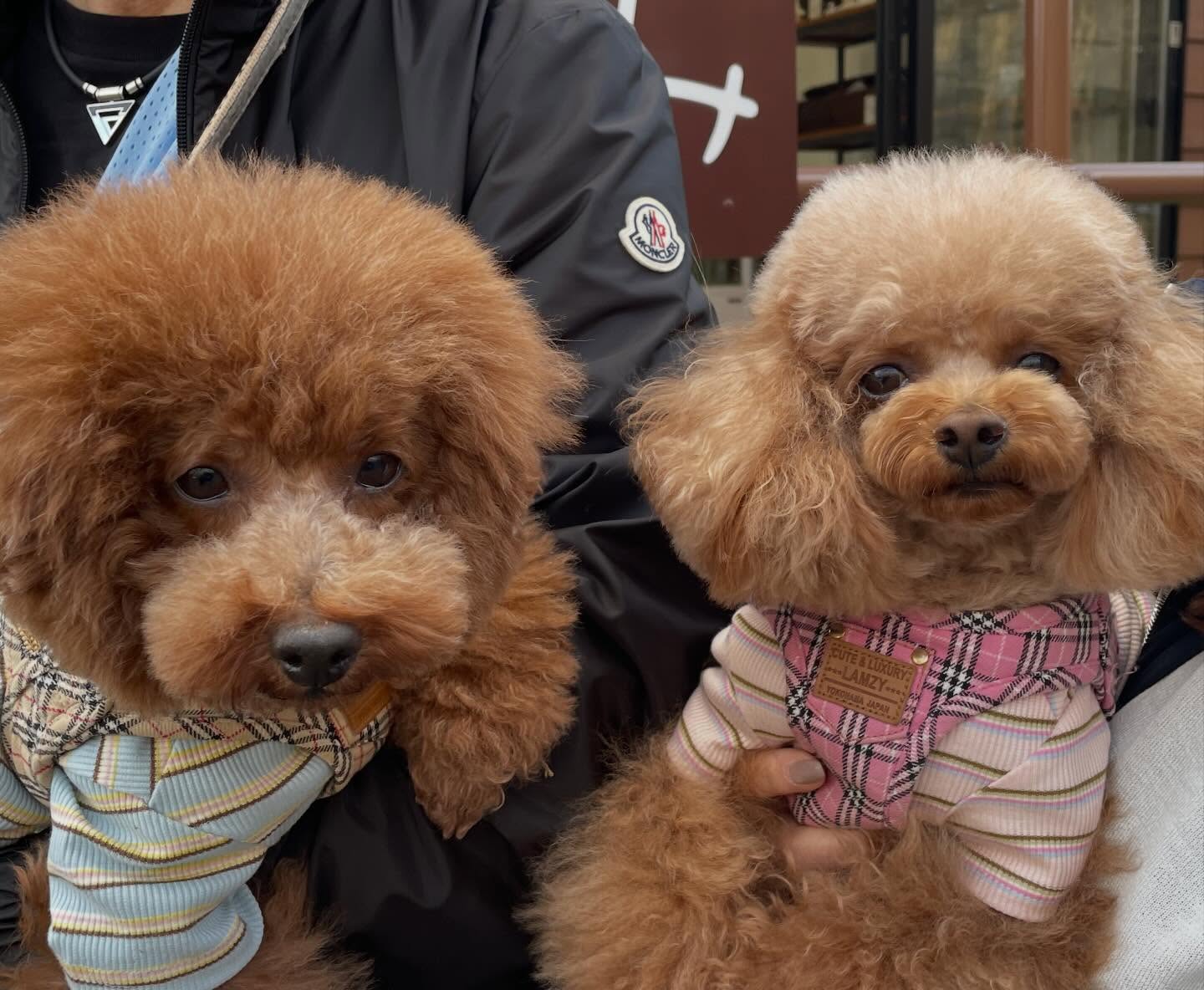 イメージ:インスタグラム投稿写真