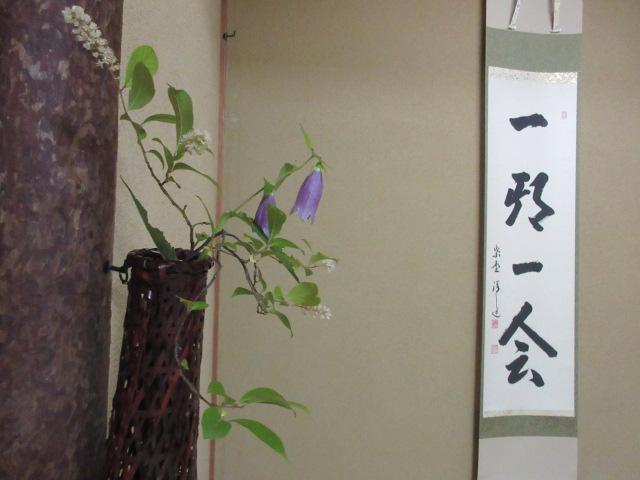 *
「梅雨のはしり」
今日は曇り空、少し雨が降り、蒸しましたね…
皆さま、おかわりございませんか…
庭園では、紫陽花のツボミやトサミズキのとげとげの実が見られます。
茶室には、ヤマアジサイの花。コバノズイナとホタルブクロが入りました。
新緑の中で滝の音が心地よいです…
これから梅雨に入ります…
どうぞお身体ご自愛下さい
…楽水園より
#楽水園
#rakusuien
#福岡観光
#日本庭園
#JapaneseGarden
#茶室
#都会のオアシス
#博多
#住吉