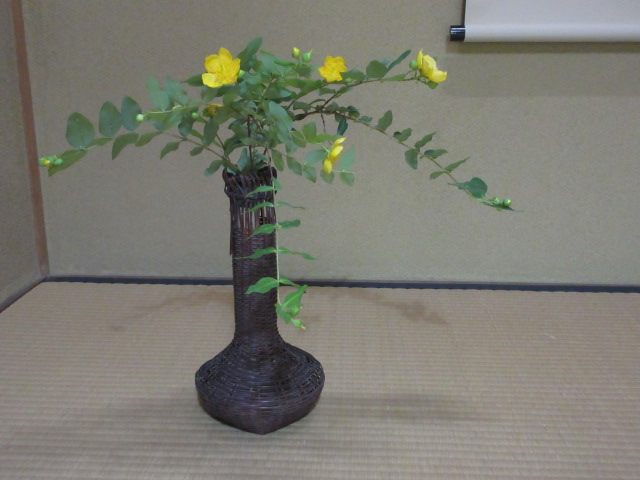 *
「梅子黄(うめのみきばむ)」
北部九州が、梅雨入りしましたね。
皆さま、おかわりございませんか…
梅の実が黄色く熟す頃です。
庭園でも黄色の梅がころがっています…
紫のアジサイも咲き、ヒイラギナンテンの実が葡萄のようになっています…
裏庭にはムクゲの花が今年初めて咲きました!
床の間にはアオバナフジバカマとシライトソウ。
キンシバイが入りました…
梅雨の長雨、どうぞお身体おいといください
…楽水園より
#楽水園
#rakusuien
#福岡観光
#日本庭園
#JapaneseGarden
#茶室
#都会のオアシス
#博多
#住吉