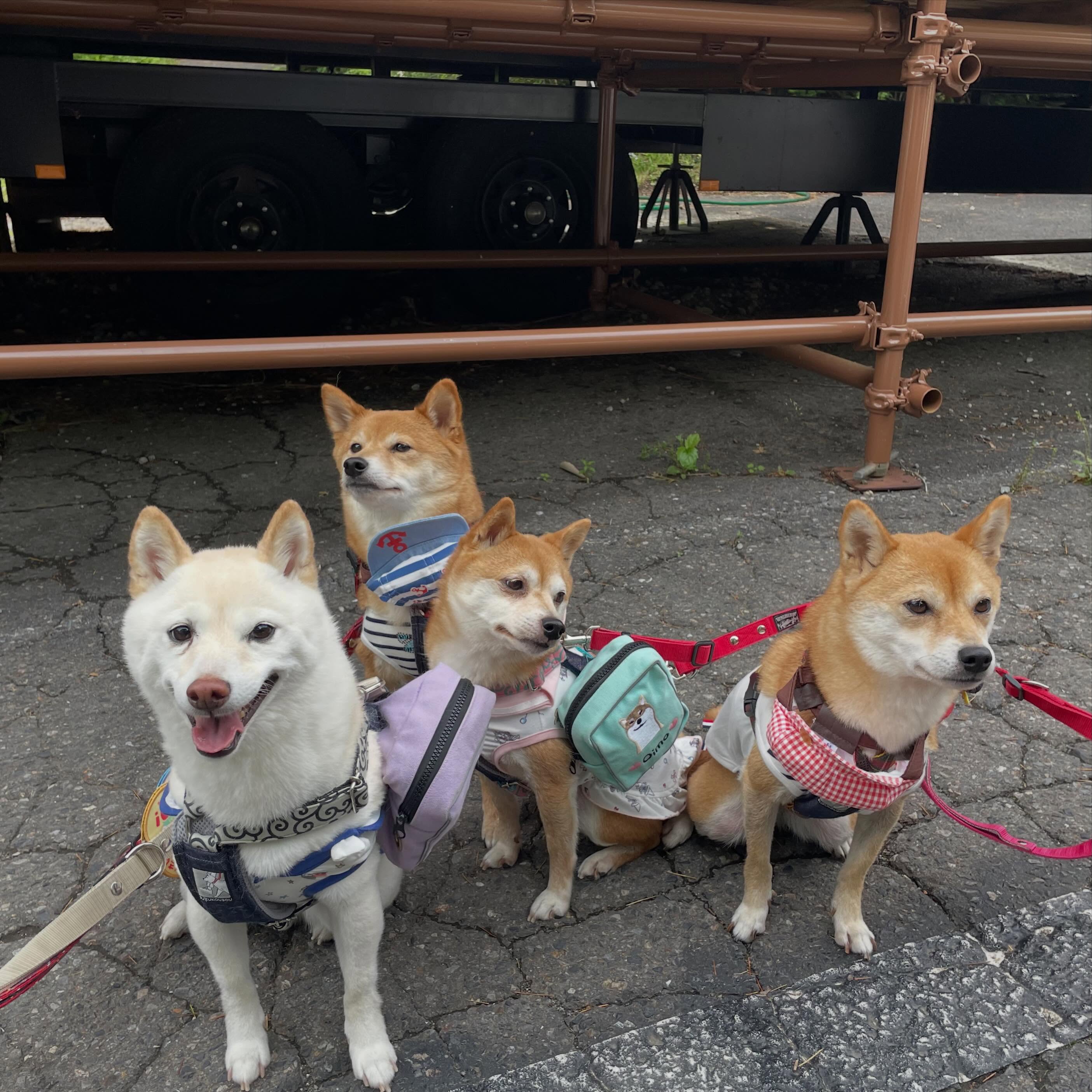 イメージ:インスタグラム投稿写真