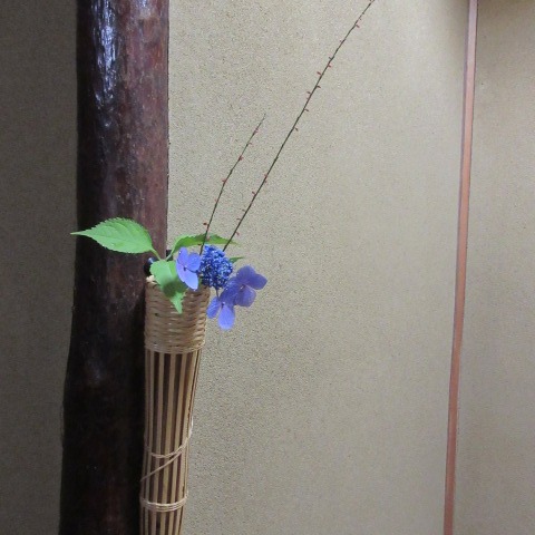 *
「梅雨の候」
どんよりした曇り空。
時折雨が降ったり…
皆さま、おかわりございませんか…
庭園では、小さなピンクのムラサキシキブの花が咲きました。
掛花入れにはアジサイ、ミズヒキソウ。
飾り棚には可愛いらしい『蓮(はす)とカエル』達が、にぎやかです!
さて、ベトナムからお越しの三名の方々!
ベトナムの伝統衣装を着てお越しになりました。
とてもお似合いで、素敵でした‼
ご来園ありがとうございました。
(写真はご本人様の承諾を得て掲載しております)
…楽水園より
#楽水園
#rakusuien
#福岡観光
#日本庭園
#JapaneseGarden
#茶室
#都会のオアシス
#博多
#住吉