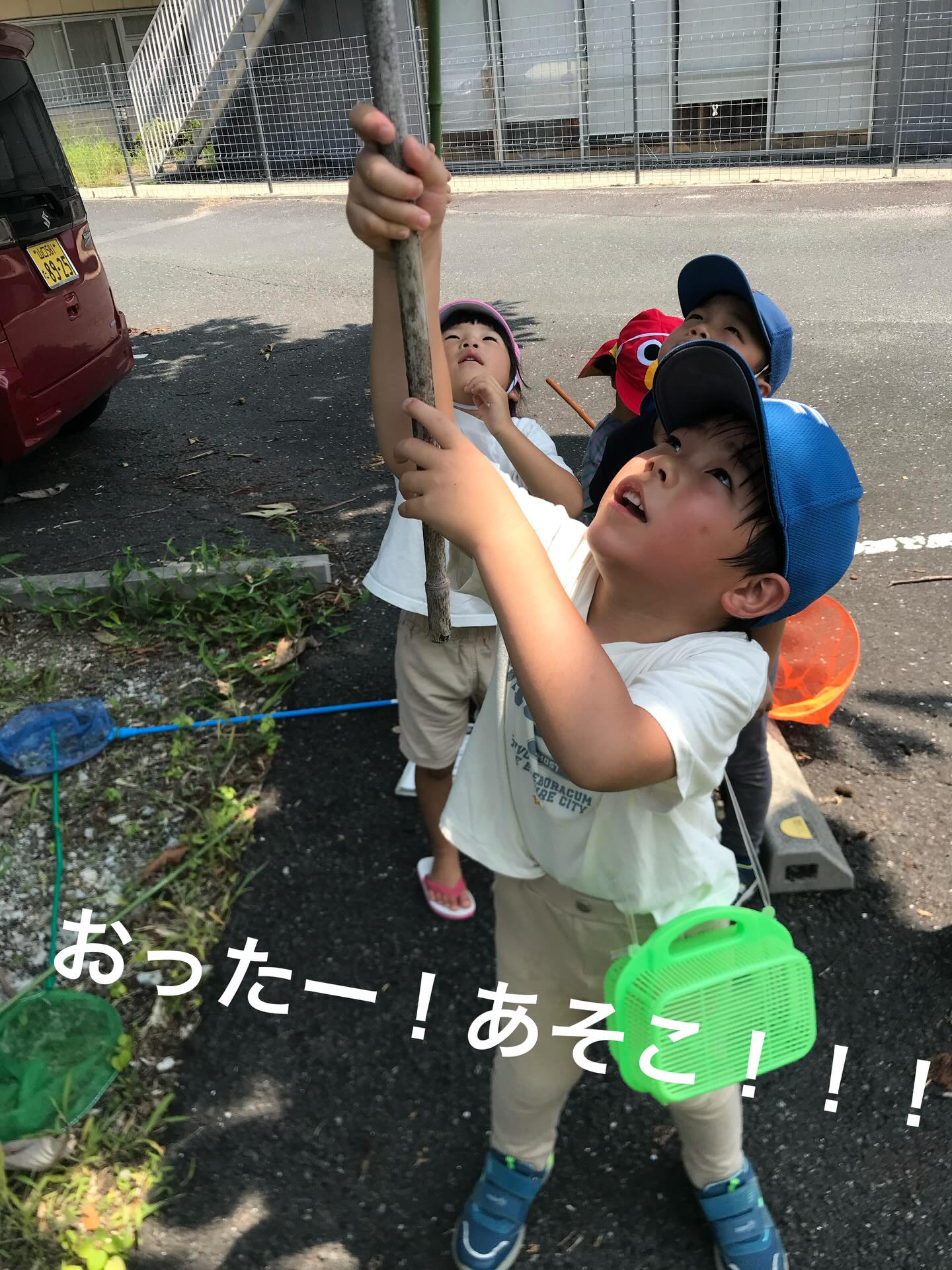 こんにちは!HUG GARDEN ほしのさと Kidsです! 今年は蝉の鳴き声を聞くのが遅かった気がしますが、今週あたりからほしのさとの周辺でも蝉の声が盛んに聞こえるようになりました。
待ちに待った蝉の声ですから、蝉取りに行かないという選択肢はありません。 プール遊びから帰ってきた子どもたちは、担任と交渉して、「蝉取り班」と「室内遊び班」に分かれていました。 「いってくるねー!」「つかまえたらみっしゃげるねー」と、勇ましく出かけていきました。と言っても敷地内ですので、時々にぎやかな声が聞こえていました。
実際に蝉を捕まえることはできなかったようですが、抜け殻とトノサマバッタの成果をあげ、とても満足そうに帰ってきました。 幼虫に近い形の抜け殻の中に、実際に見たあの蝉が入っていたことを不思議に思う子どもたち。「え!?このなかにせみがおったん?」「これにぜんぶたたんではいっとんたん?すご・・・」「せみってすごい!」子どもたちの声や反応に、担任が今日の振り返りに書いていました。
「不思議、感動、驚き、喜び、誇らしさの表情が見られ、言葉が聞かれ、私も感動した」と。 自然は、子どもたちに数えきれないほどの学びを差し出してくれます。私たち保育者にも。その環境を、改めてありがたいと思いました。 #社会福祉法人くだまつ平成会 #ほしのさと #HUG GARDEN ほしのさと Kids #企業主導型保育園 #下松市保育園