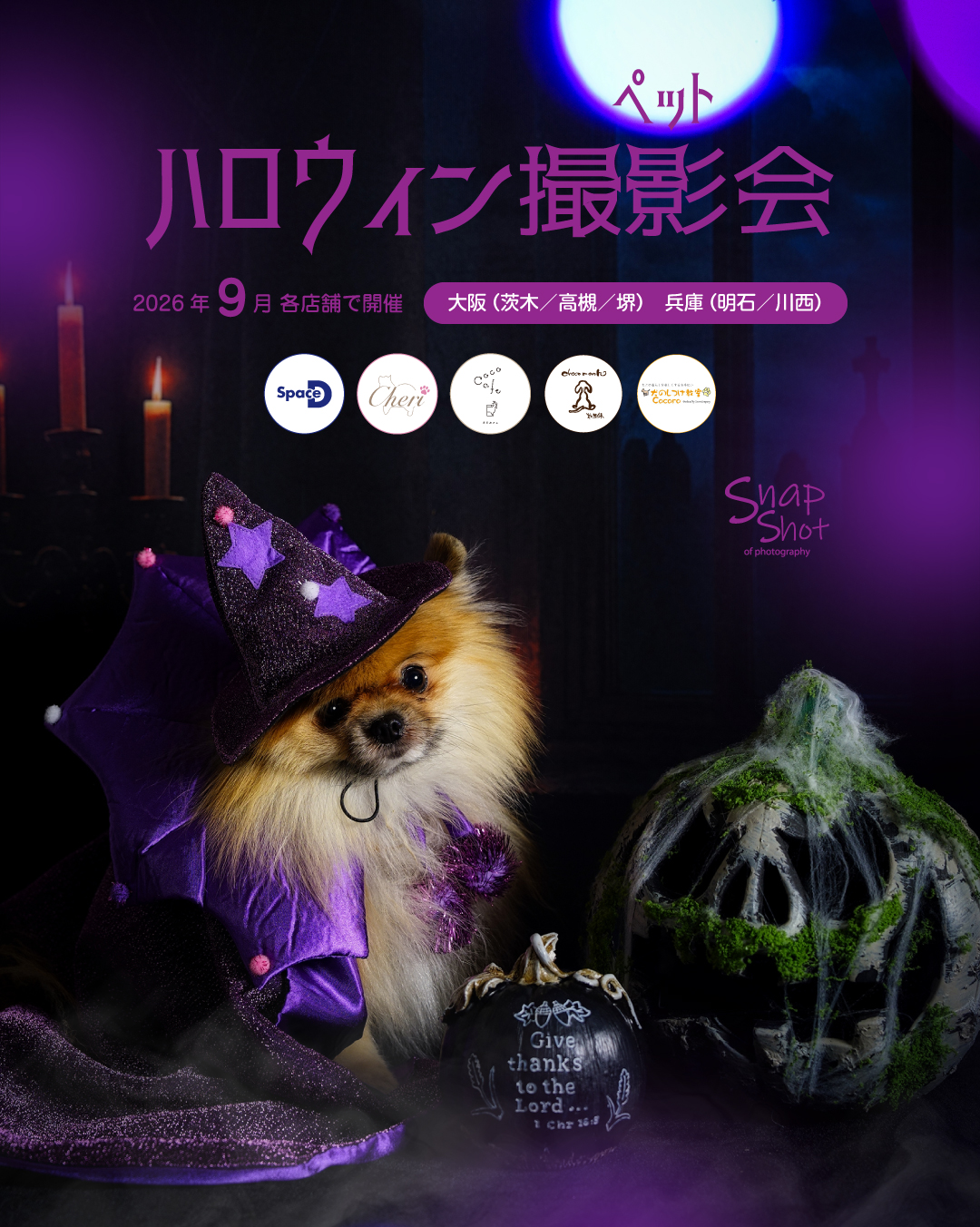 📷✨
2026年9月に各店舗様で開催する「季節のイベント撮影会」のご案内です✨
﹏﹏﹏﹏﹏﹏﹏﹏﹏﹏﹏﹏﹏﹏﹏﹏﹏
🕸⋆꙳ 💜🦇ハロウィン撮影会🎃🖤🕸⋆꙳
﹏﹏﹏﹏﹏﹏﹏﹏﹏﹏﹏﹏﹏﹏﹏﹏﹏
今年のハロウィンはミステリアスな世界観。
いたずらよりも可愛さで心を奪うダークファンタジー。
わんちゃんたちのコスプレが楽しめる撮影会🎃
₍₍(ง🎃)ว⁾⁾🍭𐊗𐊯𐊦𐊢𐊋 𐊫𐊯 𐊗𐊯𐊤𐊠𐊗 !🧁₍₍ʅ(🎃)ว⁾⁾
▷▷▷ 関西5店舗で開催 ◁◁◁
開催場所と日程 ┈┈••✼••┈┈••✼
●Space D(大阪府茨木市)
∟2026/9/5/土(10:00~LO16:30)
●Dog Cafe&Salon Cheri(大阪府高槻市)
∟2026/9/6/日(11:30~LO18:00)
●coco cafe(大阪府堺市)
∟2026/9/11/金(11:00~LO15:30)
∟2026/9/12/土(11:00~LO15:30)
●犬の整体 choco mooth(兵庫県明石市)
∟2026/9/13/日(10:30~LO16:30)
●犬のしつけ教室 Cocoro(兵庫県川西市)
∟2026/9/26/土(11:00~LO17:00)
※上記時間内の「00分~」と「30分~」でご予約を受付けております。
※撮影時間は20分程度。
※1枠1家族様のお申込みとなっております。
※完全予約制(入れ替わり制)
※4頭以上のご参加はご相談ください。
※ワンちゃん以外のペットも大歓迎!ご相談ください!
内容 ┈┈••✼••┈┈••✼
●撮影データ:10~15カット
●ポスターアレンジ:1点(データ)
※撮影データのお渡しは、後日LINEアルバムなどのオンラインでのお渡しとなります。(400万画素)
※オリジナルサイズ(2000万画素)の撮影データを収録したDVDのお渡しも承っております(別途550円(税込))
※衣装のご用意はございません。お気に入りの衣装をご持参ください。
※15kg以上のワンちゃんはご相談ください。
※集合写真は、撮影セットの都合上、対応いたしかねる場合がございますのでご了承ください。
料金 ┈┈••✼••┈┈••✼
6,600円
※1家族様1頭の料金となります。
※2頭目から1頭追加につき1,100円
※表示金額は税込です。
開催場所のご紹介 ┈┈••✼••┈┈••✼
●Space D
大阪府茨木市豊川4-16-4(モノレール彩都線豊川駅から5分)
※店舗駐車場あり(5台程度)
@cafed112
●Dog Cafe&Salon Cheri
大阪府高槻市南松原町1-9 1F
阪急京都線高槻市駅から徒歩5分
※近隣にコインパーキングあり
@dogcafe.salon_cheri
●coco cafe
大阪府堺市中区深阪3-10-59
※店舗駐車場あり(5台程度)
※近隣にコインパーキングあり
@cococafe_pochipochi
●犬の整体 choco mooth
兵庫県明石市大久保西島721-8
わらびもち専門店 小町 2F
※店舗駐車場あり(3台程度)
※近隣にコインパーキングあり
@choco_mooth
●犬のしつけ教室 Cocoro
兵庫県川西市清和台東1-3-6
※店舗駐車場あり(6台程度)
@dogcocoro
お申し込み ┈┈••✼••┈┈••✼
●お申し込み
プロフィール欄のURLをクリック!
ホームページの「新着のお知らせ」をご覧ください☝🏻
LINEやDMでも受付けておりますので、気軽にお声掛けください😉✨
※Cheriさまは、店舗にて受付しております。
Cheriさまに直接お問合せください。
@dogcafe.salon_cheri
・
・
#ペット撮影会
#犬撮影会
#関西ペット撮影
#犬のいる暮らし
#とぱ