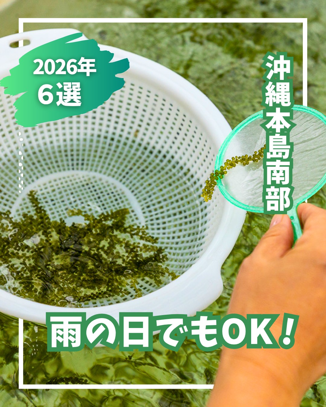 \雨でも楽しめる観光スポット/👇ご紹介した店舗・施設はこ...