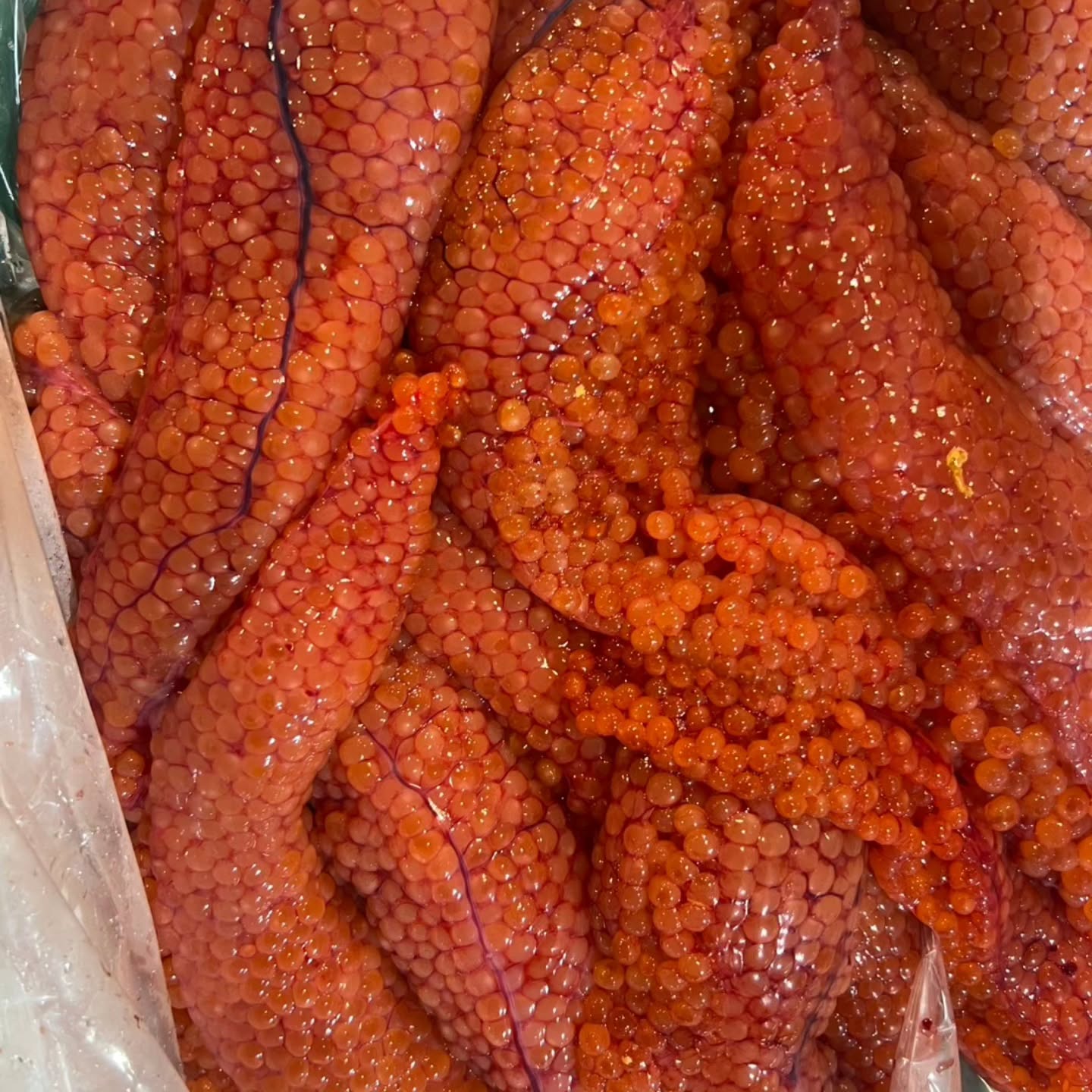今週のおすすめ
\ 本日の仙台市場 入荷情報 / 🐟✨
今日も仙台市場から、旬の魚介がいろいろ入荷しています!
🐟活ボタン海老
🐟️釣りアジ
🐚貝ホッキ
🦪 岩牡蠣
🐚赤貝
🐚殻付きウニ
ほかにもおすすめの魚介をご用意しています。
その日の入荷だからこそ出会える、美味しい魚たち。
「今日は何がある?」というお問い合わせも大歓迎です😊
在庫・価格など、詳しくはお気軽にお問い合わせください。
📞 080-9013-1483
鈴木まで
さかなやマルカ