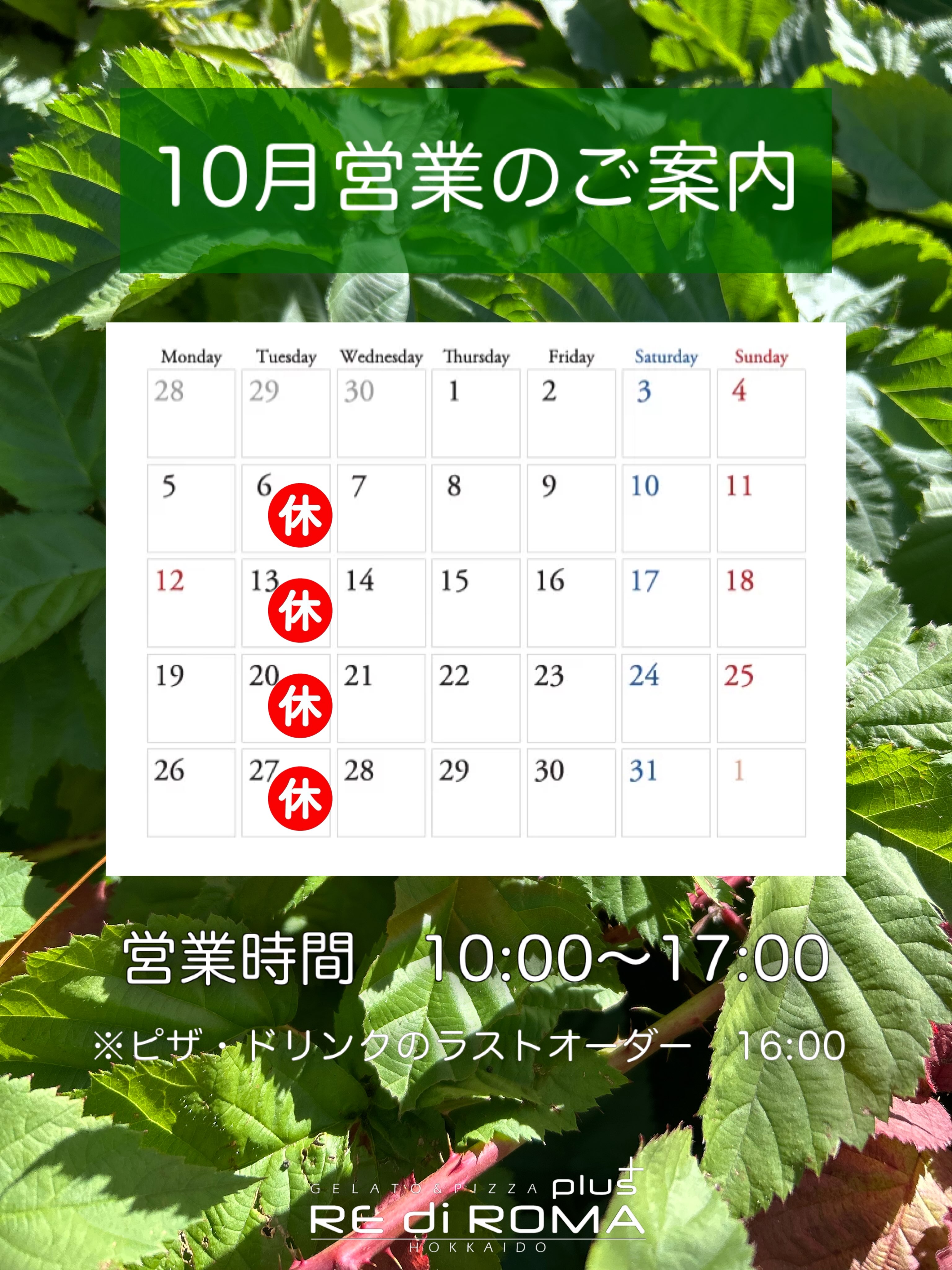 こんにちはレディローマプラスです♪
10月からの営業日についてご案内いたします。
10月から毎週火曜日を定休日とさせていただきます。
営業時間は10:00〜17:00
ピザ・ドリンクのラストオーダーは16:00
どうぞよろしくお願いいたします。
#レディローマプラス #ジェラート #ピザ #クレープ