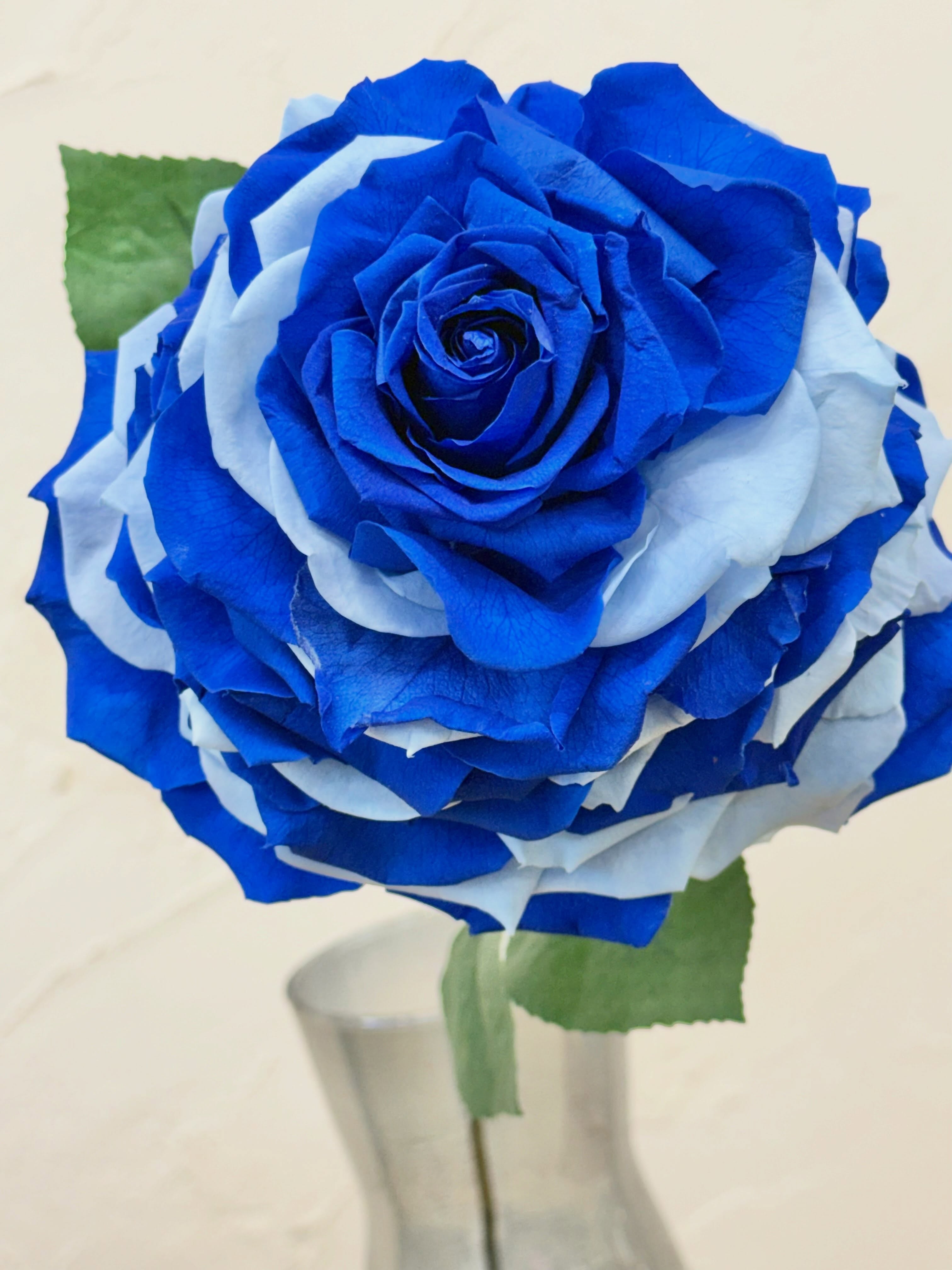 🩵💙🩵💙🩵💙🩵💙プリザーブドフラワー#お花屋さん #大分花屋 #別府花屋 #ドライフラワー #ドライフラワーのある暮らし ドライフラワーブーケ ドライフラワーリース ブーケ リース ハーフリース ドライフラワースワッグ スワッグ 花束 アレンジ ryoフローリスト 花屋 ブライダル ブライダル装花 ウェディング ウェディング装花 ブライダルブーケ ウェディングブーケ 結婚式 大分 別府 ボタニカル 花のある暮らし いけこみの花 プリザーブドフラワー アートフラワー