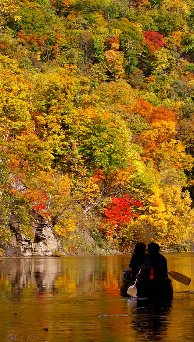 🍁 定山渓、まもなく紅葉シーズン!
🍁 Autumn colors are on their way to Jozankei!
札幌市内でありながら、渓谷と豊かな森に囲まれた定山渓。
秋は山々が黄金色と朱に染まる、紅葉の名所です🍂
安定感のあるカナディアンカヌーに乗って、
渓谷を抜けながら、鳥の声や川のせせらぎを感じてみませんか?🛶
川はゆるやかな流れで、ガイドがレクチャーするので初めての方も安心です✨
ワンちゃんとの参加もOK🐕(ライフジャケット着用)
Just a short trip from Sapporo, Jozankei is surrounded by a gorgeous gorge and rich forest. In autumn, the mountains turn golden and red 🍂
Hop in a stable Canadian canoe and glide through the valley, listening to birdsong and the sound of the river 🛶
The current is gentle, and our guide will give you a lesson first, so beginners are welcome ✨
Dogs can join too 🐕 (life jacket required)
▼ 体験データ
📅 開催期間:5月7日〜11月15日
🕙 開始時間:①10:00 ②12:30 ③15:00(約60分)
👥 2名様より/3歳から参加OK
💰 大人 4,500円/小学生 3,500円/3歳〜未就学児 2,000円(税込)
🚐 定山渓温泉エリアの各ホテルから無料送迎あり
▼ 詳細・ご予約はこちら
▼ Book & see details
https://amuse-sports.com/activity/jozankeicanoe/
(プロフィールのリンクからもご覧いただけます)
(Link also in our profile)
#定山渓 #定山渓カヌー #カヌー #紅葉 #北海道紅葉