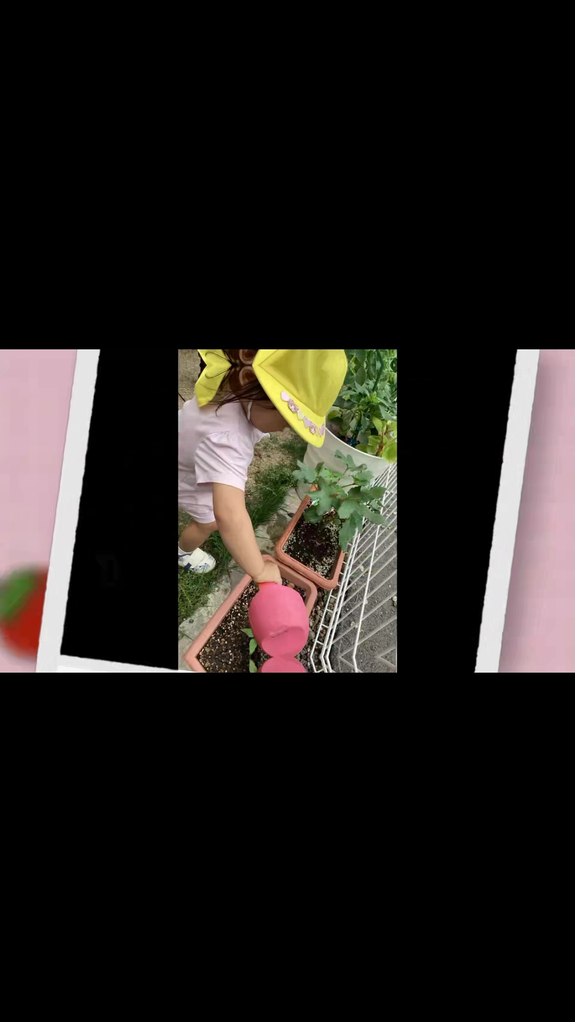 『1歳児の日常🍓』
1歳児ではオクラやトマトなどを育てました🌱
外あそびをしていると、子どもたちが進んで水やりをしたり、苗に興味を示したりする姿が見られました!
また、友だちと遊ぶことがどんどん増えてきました!一緒に手を繋いだり、いないいないばあをする姿は私たち保育者も癒されています☺️
これからも子どもたちの成長を私たち職員も楽しみにしています♪