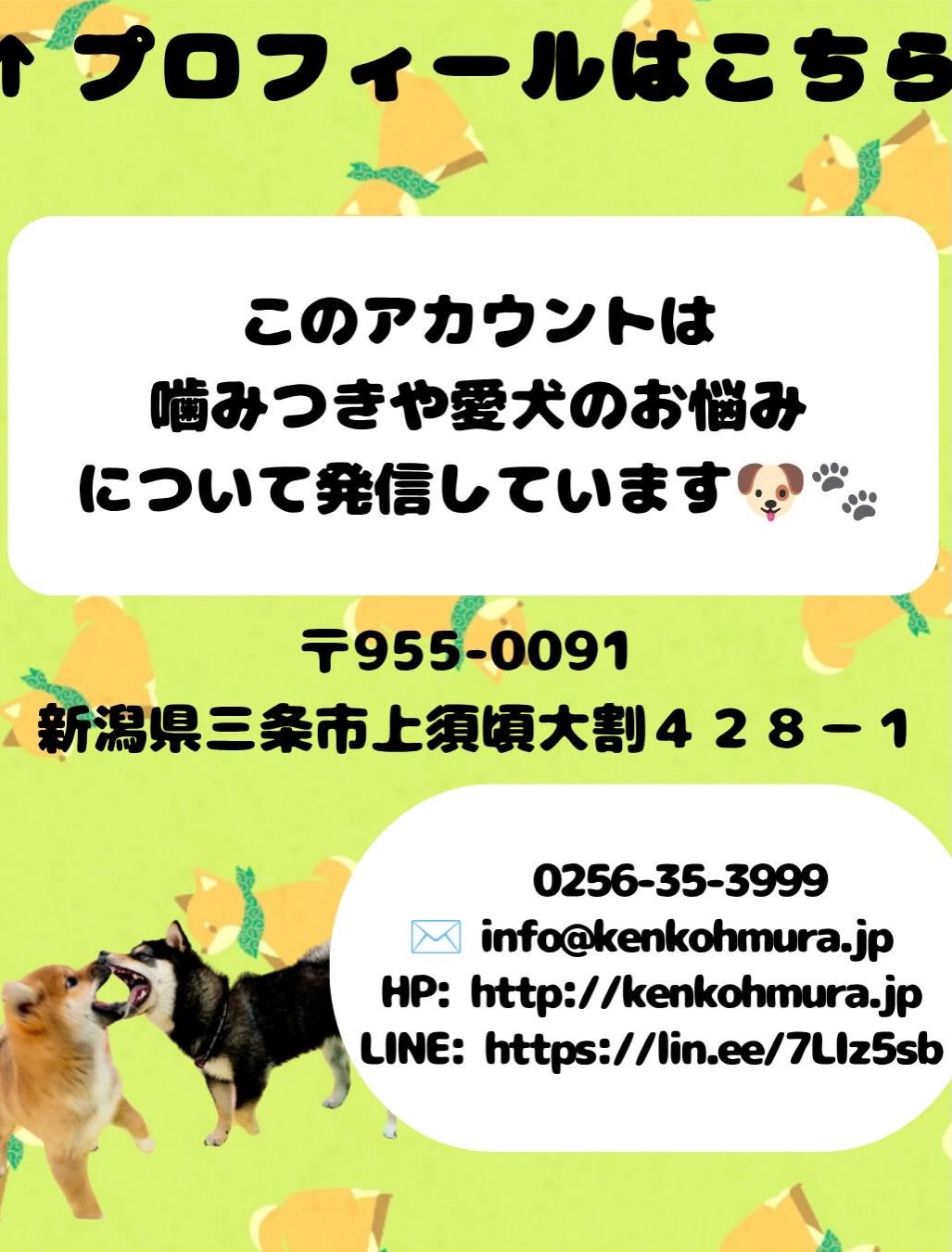 本日幼稚園体験に来てくれました🐶
みんな最初は緊張してあまり動けずに周りをキョロキョロしたりしていましたが、すぐにみんなと打ち解けたようで、自分から挨拶をしたり、匂いを嗅いだりしてコミュニケーションをとって過ごしていました👏
🐾🐶愛犬のお悩みご相談ください🐶🐾
@kenkohmura_official
↑フォロー待ってます↑
〒955-0091 新潟県三条市上須頃大割428−1
☎︎ 0256-35-3999
✉️ info@kenkohmura.jp
HP: https://kenkohmura.jp
LINE: https://lin.ee/7LIz5sb
#犬幸村#犬の幼稚園 #吠える、噛む #犬のしつけ #トイレ
トイプートイプー可愛いトイプー倶楽部トイプー可愛いすぎる