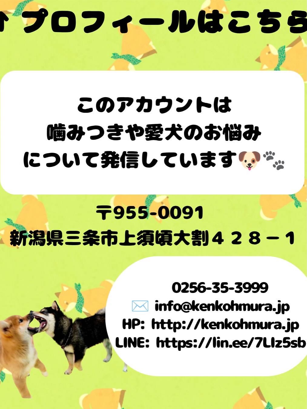 コタローちゃん🐶
本日歯磨きトレーニングを開始して1年4ヶ月が経ちました
歯の状態は変わらずに綺麗にキープされていて良いです‼️このままキープを意識して頑張りましょう✊
園内では、ぽん太ややん丸達と1日中走り回ったり、みんなで激しいワンプロを仕掛けあったりして非常に楽しそうに過ごしていました🤭
🐾🐶愛犬のお悩みご相談ください🐶🐾
@kenkohmura_official
↑フォロー待ってます↑
〒955-0091 新潟県三条市上須頃大割428−1
☎︎ 0256-35-3999
✉️ info@kenkohmura.jp
HP: https://kenkohmura.jp
LINE: https://lin.ee/7LIz5sb
#犬幸村#犬の幼稚園 #吠える、噛む #犬のしつけ #トイレ
柴犬柴犬大好き柴犬倶楽部柴犬可愛いすぎる柴犬可愛い