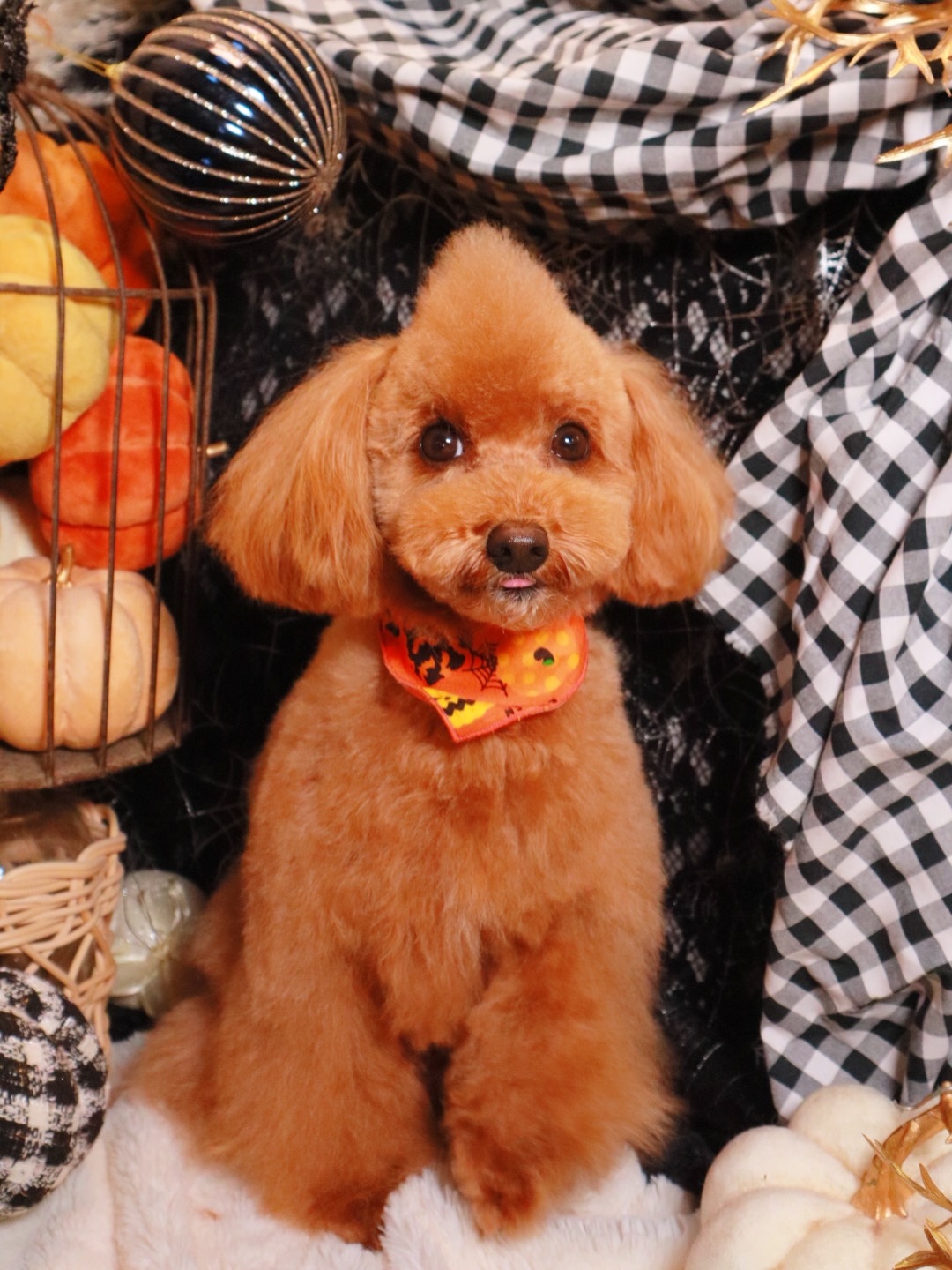 Instagramに投稿された画像
